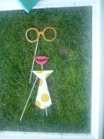 /album/galeria-de-fotos/p1030176-jpg/